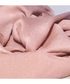 Alternative view of Pink Pearl